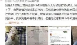 杭州网红孕妇最新爆料,揭秘孕期生活幕后真相